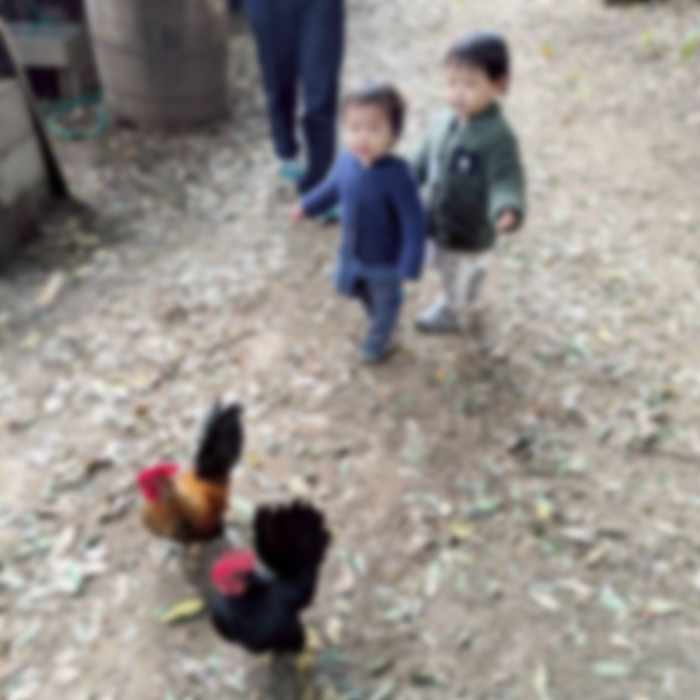 赤ちゃんと森ピクニック